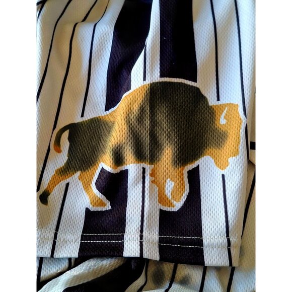 Vintage Warstic Baseball Jersey Striped Button-Up Short Sleeve Buffalo Logo - Picture 6 of 8